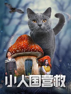 潦草视频