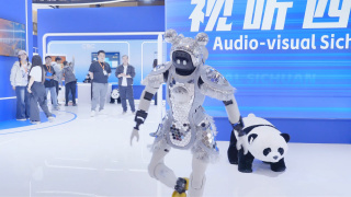 狂野少女电影免费观看高清版